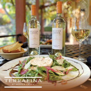 Gold-Medal winning wines, Pinot Gris and Character White paired with our Seasonal Burrata at Terrafina.