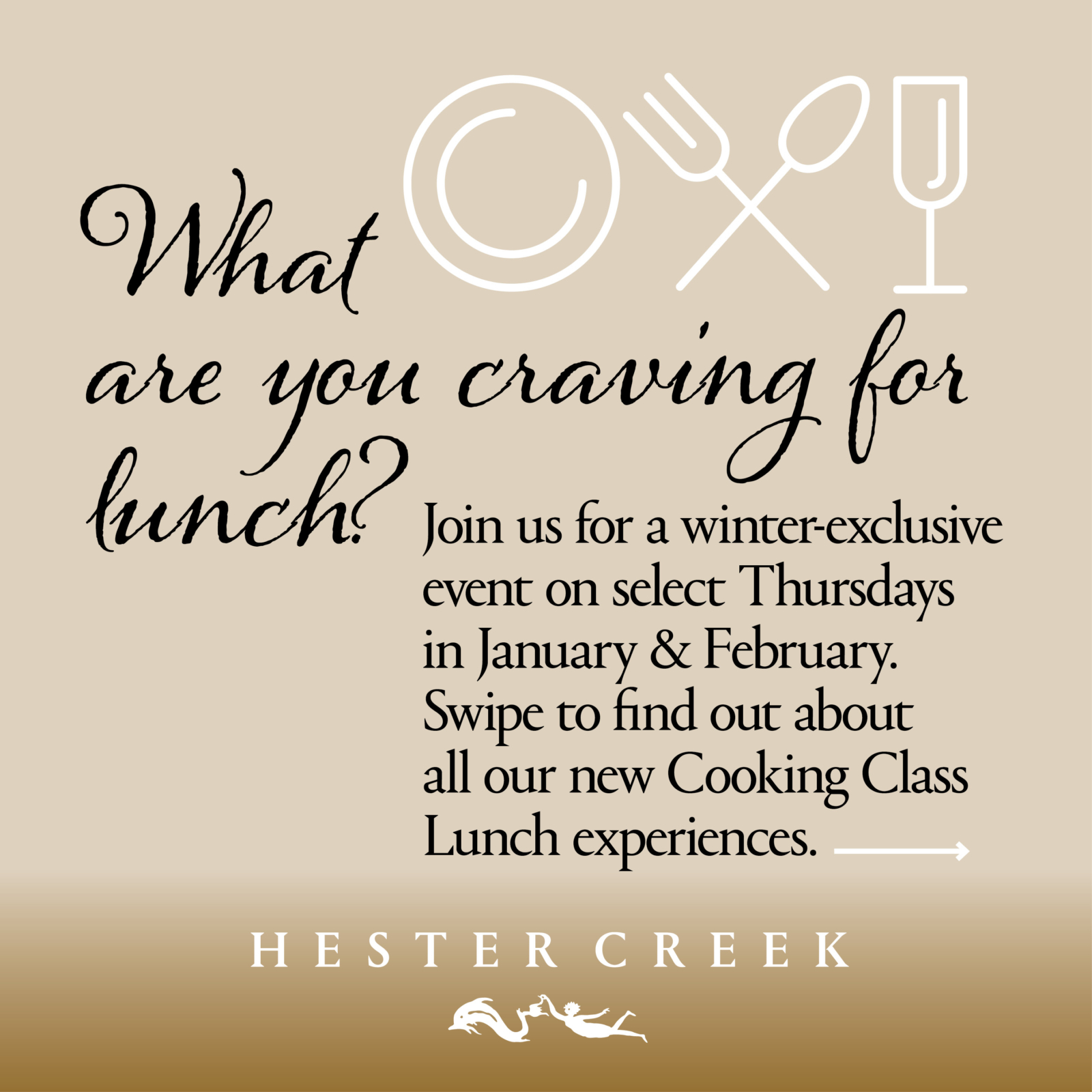 Cooking Class Lunches