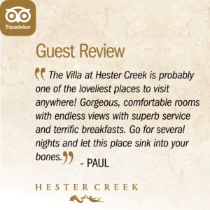 Taste, Dine and Stay