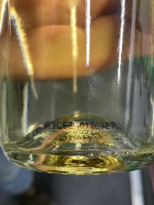 The 2023 vintage at Hester Creek