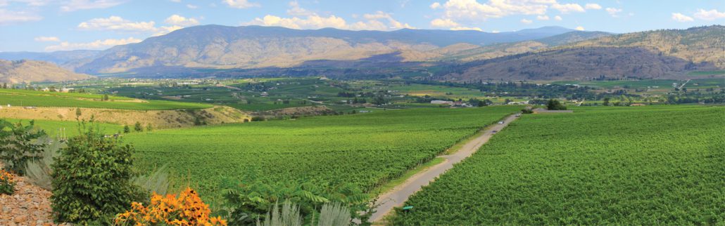 Golden Mile Bench South Okanagan vineyard views from Hester Creek