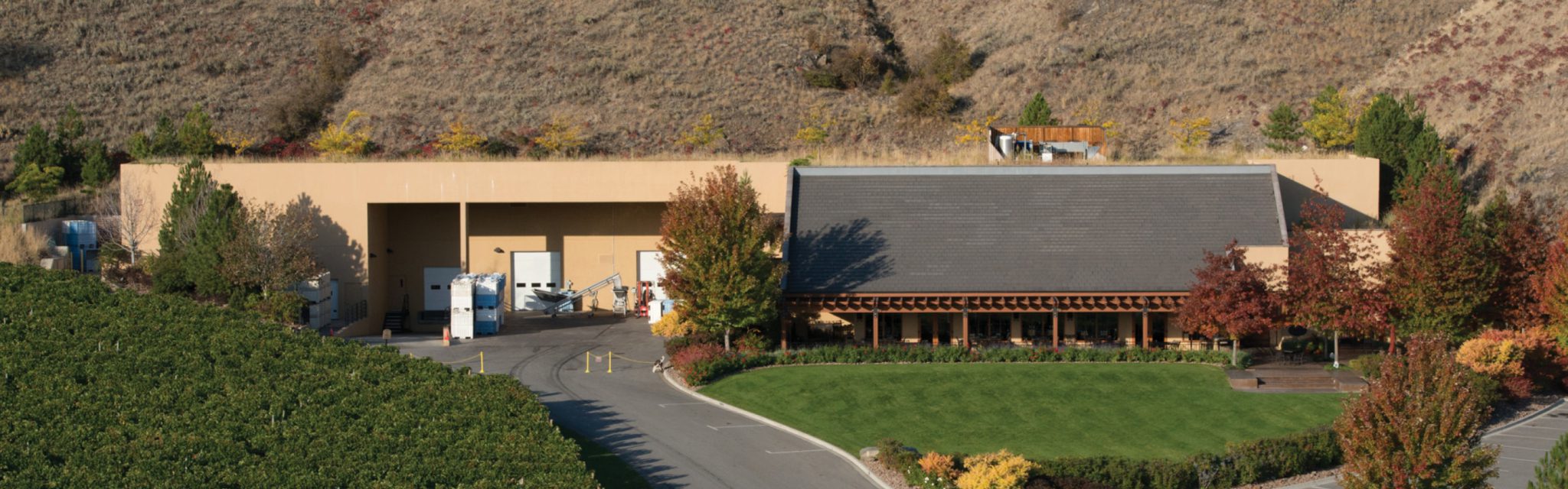 The Winery aerial view