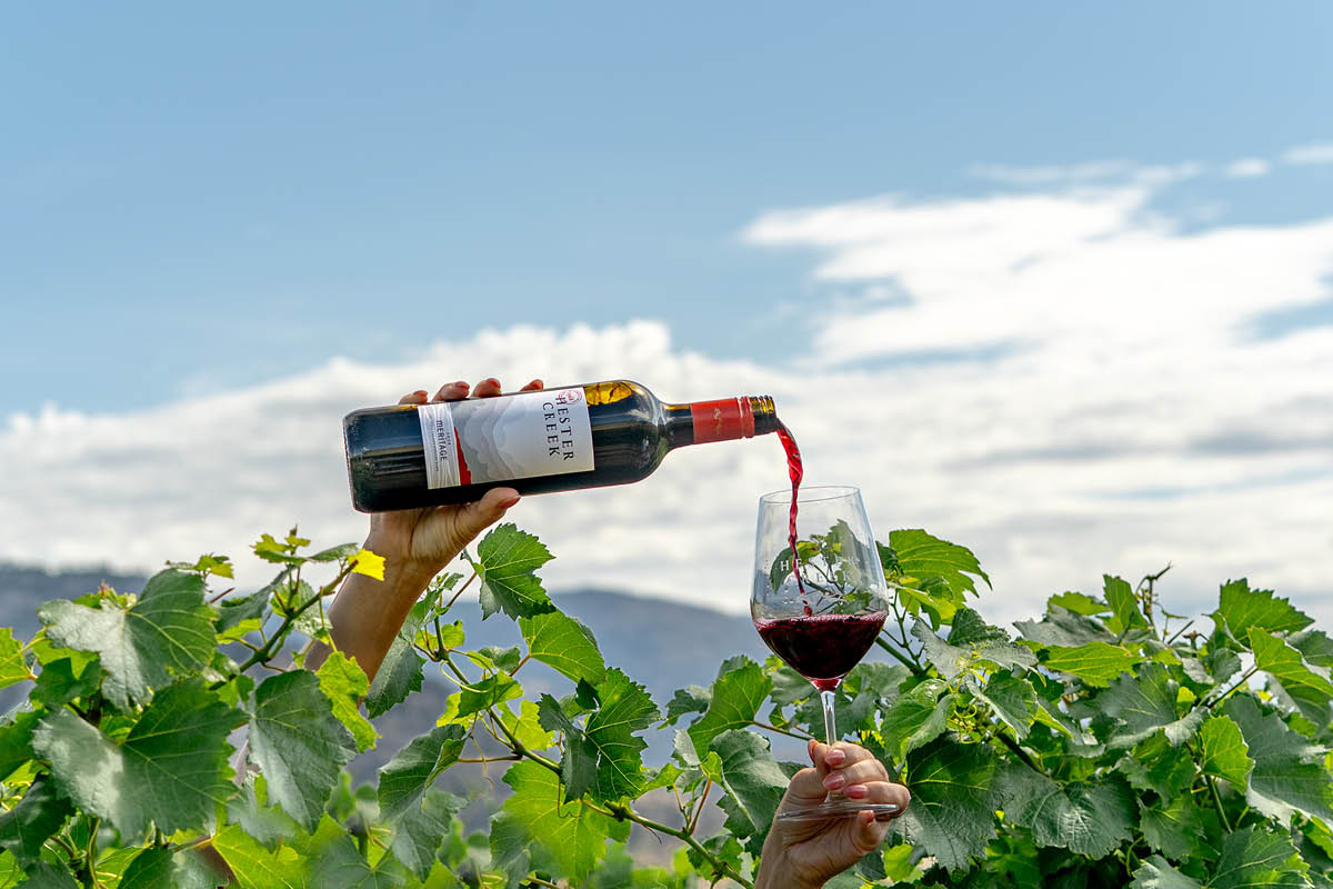 pouring wine above vines