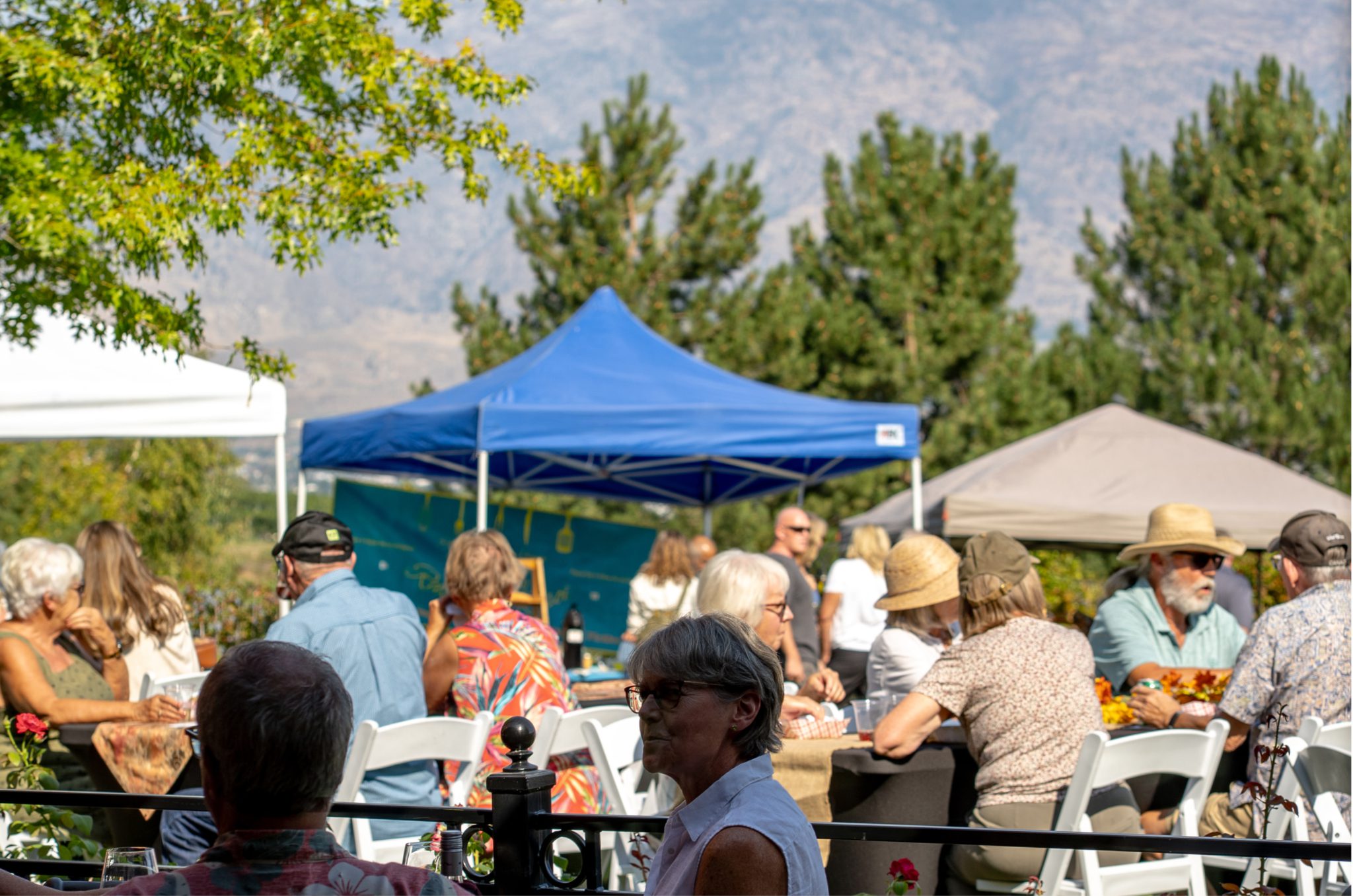 Harvest Festival Banner