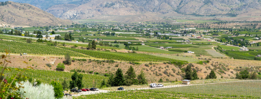 Hester Creek Estate Winery | Leadership Transition 