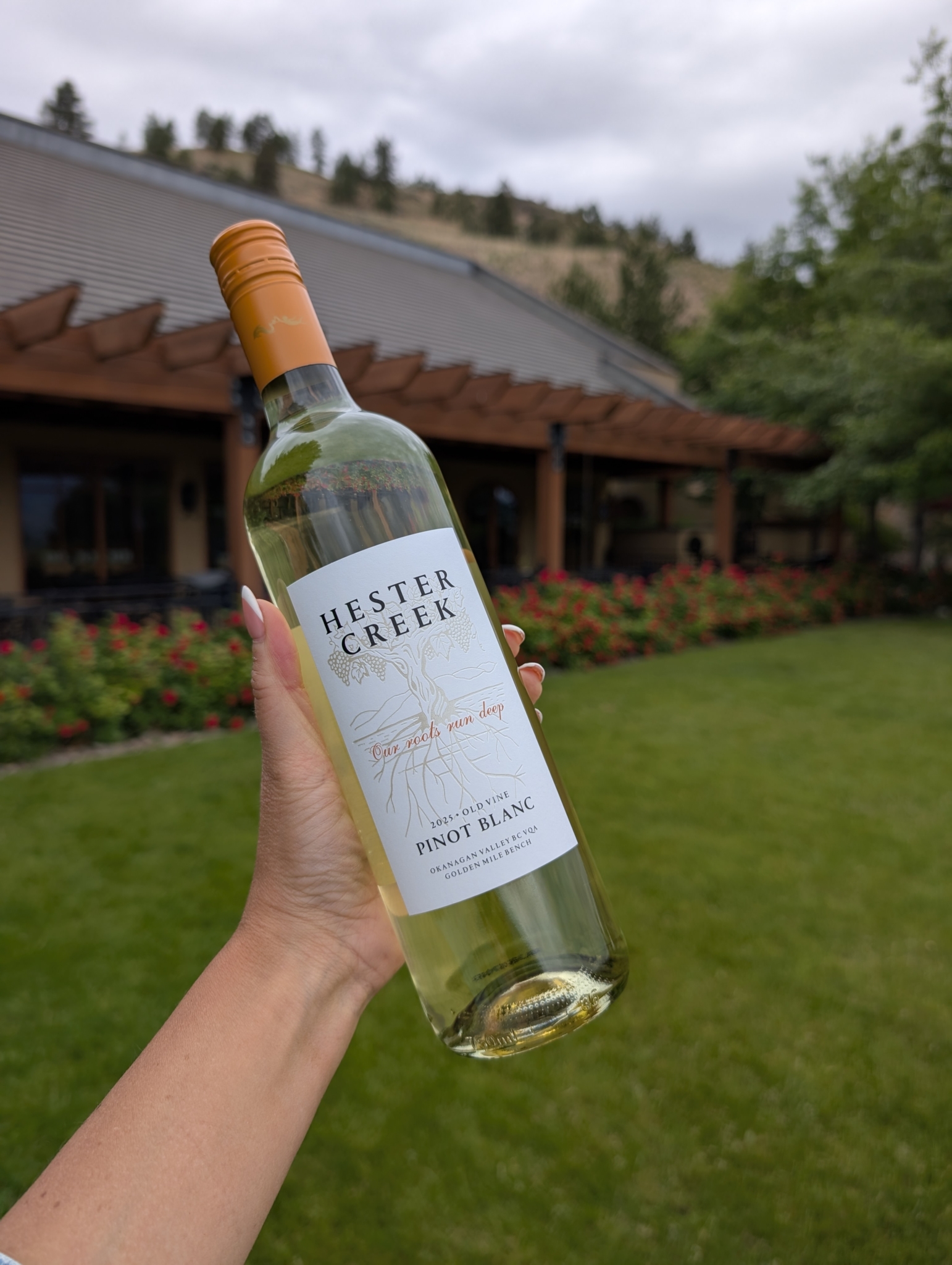 Hester Creek Estate Winery | Golden Mile Bench, South Okanagan | Award Winning BC Wines