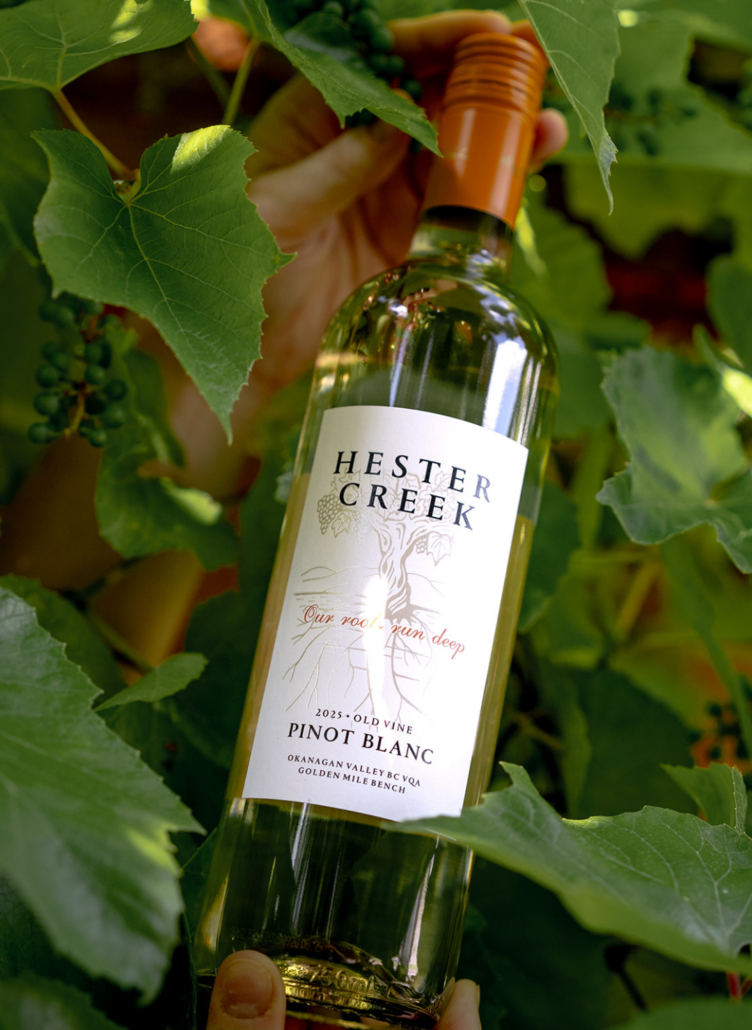 Hester Creek Old Vine Pinot Blanc | Award-Winning Wine