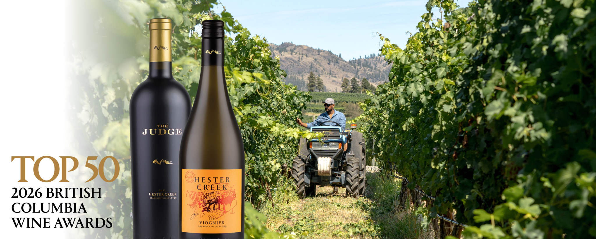 TOP 50 for The Judge & Viognier Hester Creek Award Winning Wines