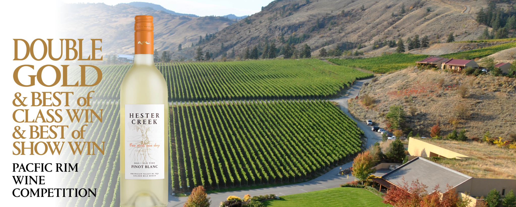 DOUBLE GOLD for OV Pinot Blanc Hester Creek Award Winning Wines