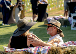 Harvest Festival at Hester Creek