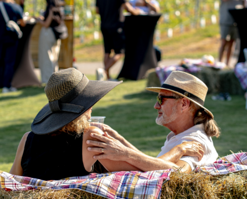 Harvest Festival at Hester Creek